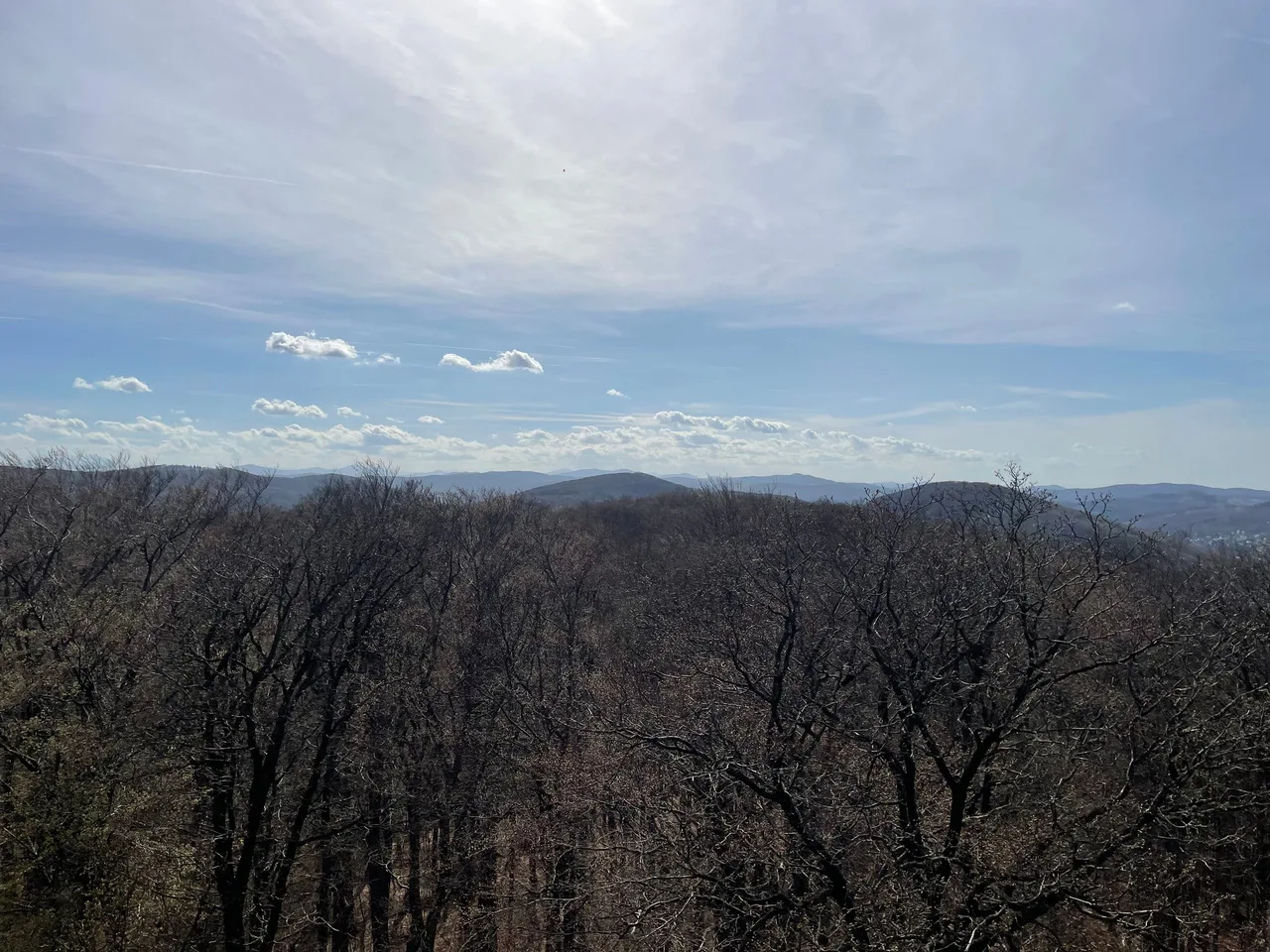 Ampia vista su colline boscose e abitati con il fogliame di inizio primavera, sotto grandi nuvole.