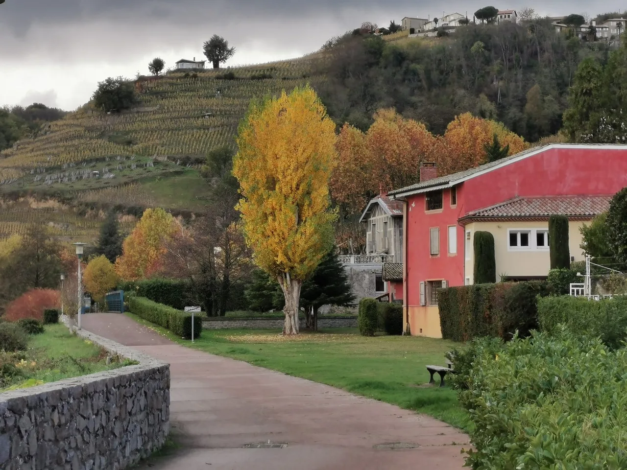 A paved riverside cycle path leads past a red house and golden autumn trees, with terraced vineyards climbing the hill behind.