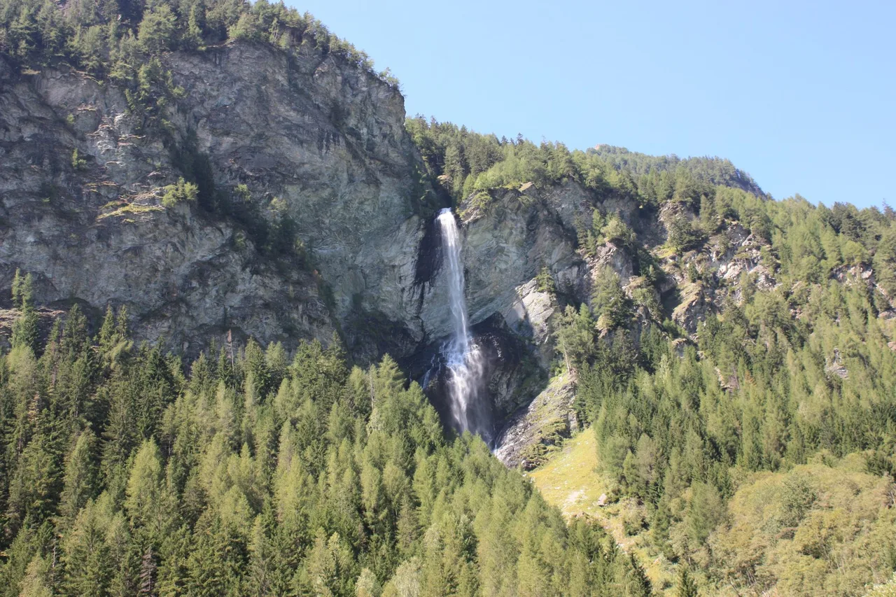 Jungfernsprung waterfall falling down a grey rock wall into a larch and spruce forest in the Mölltal