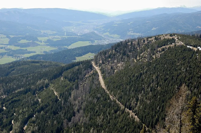 Forested ridge near the Kampalpe summit with a track running along it and farmland in the valley beyond