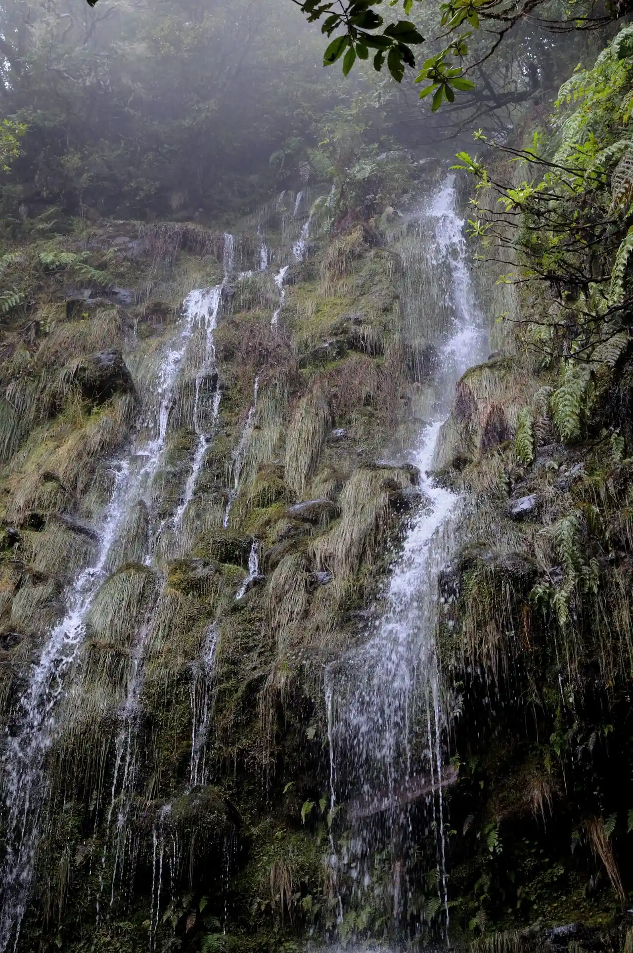 Water streams down a tall, grass-covered cliff in several thin falls, with ferns and mist at the edges.