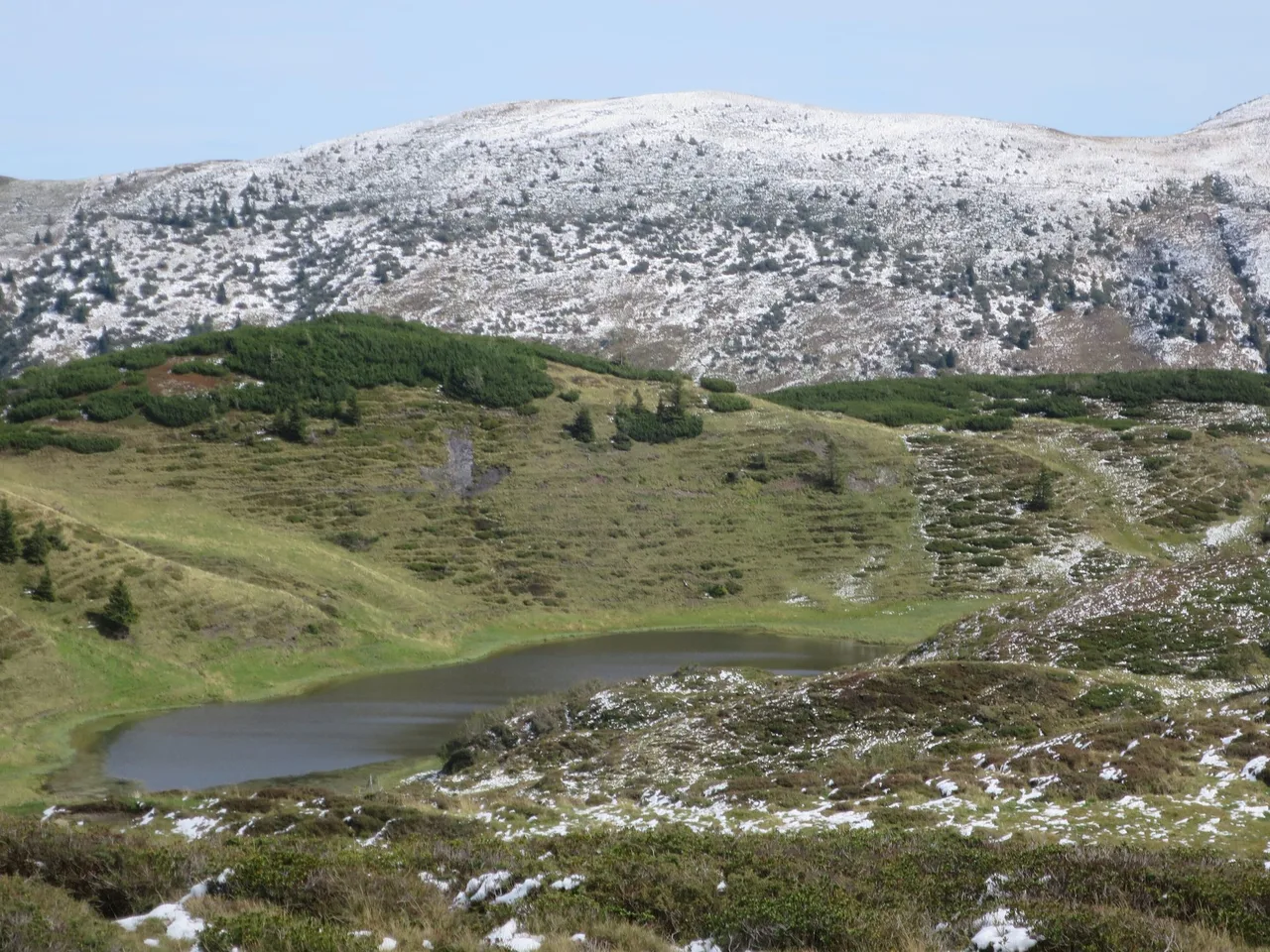 Small dark mountain lake in a grassy hollow with dwarf pines and a dusting of snow on the slopes above.