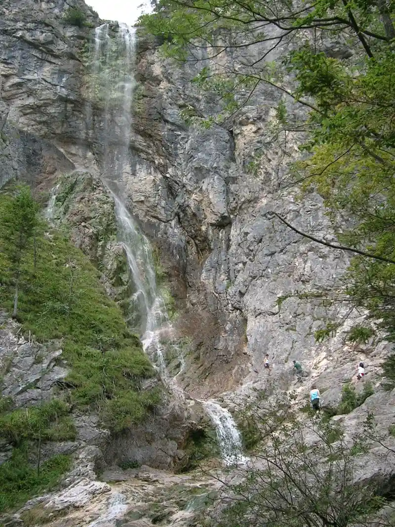A tall thin waterfall drops down a grey rock wall between trees.