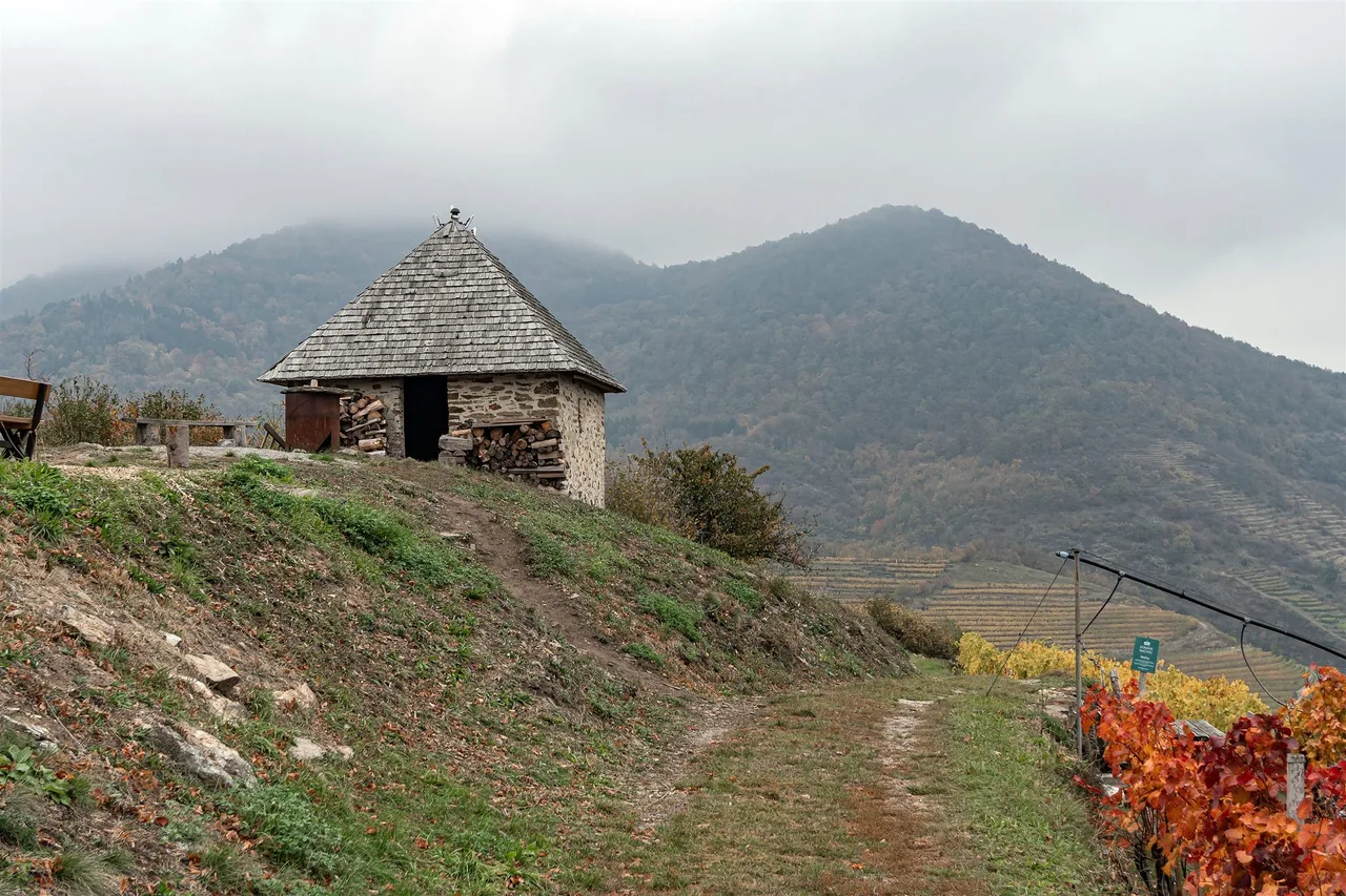 A small stone hut with a shingled roof and stacked firewood on a hilltop, with red and yellow vines and misty wooded hills behind.