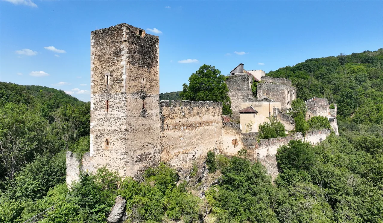 The tall square tower and walls of the Kaja castle ruin rise above green forest on a sunny day.