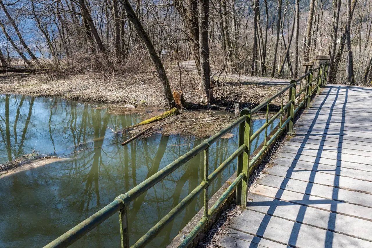 Wooden footbridge with a green metal railing over the Tiebel, with bare trees reflected in the water