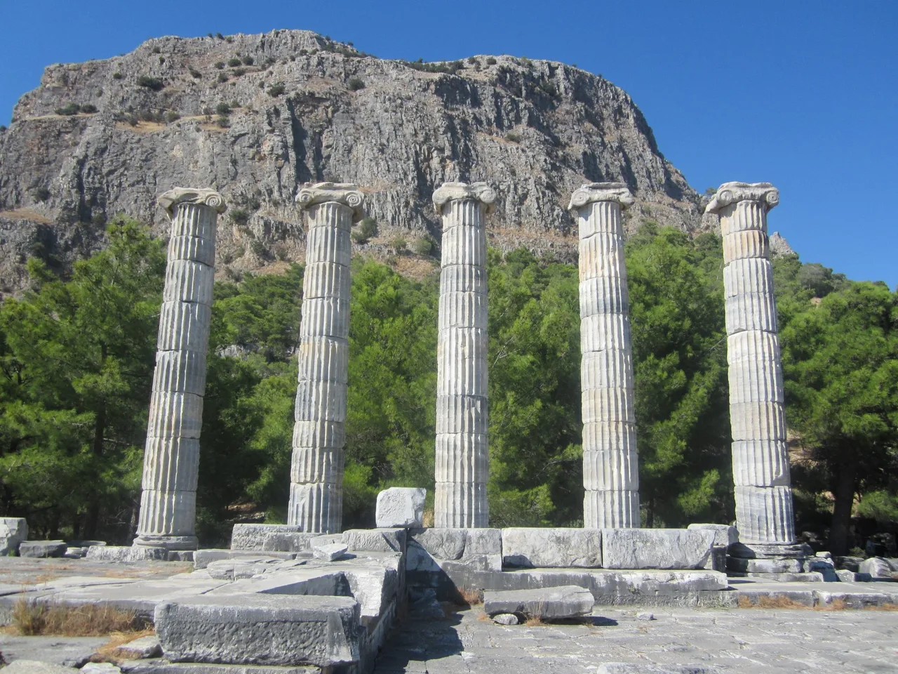 Five Ionic columns of the Temple of Athena at Priene standing in front of pine trees and a steep rock face