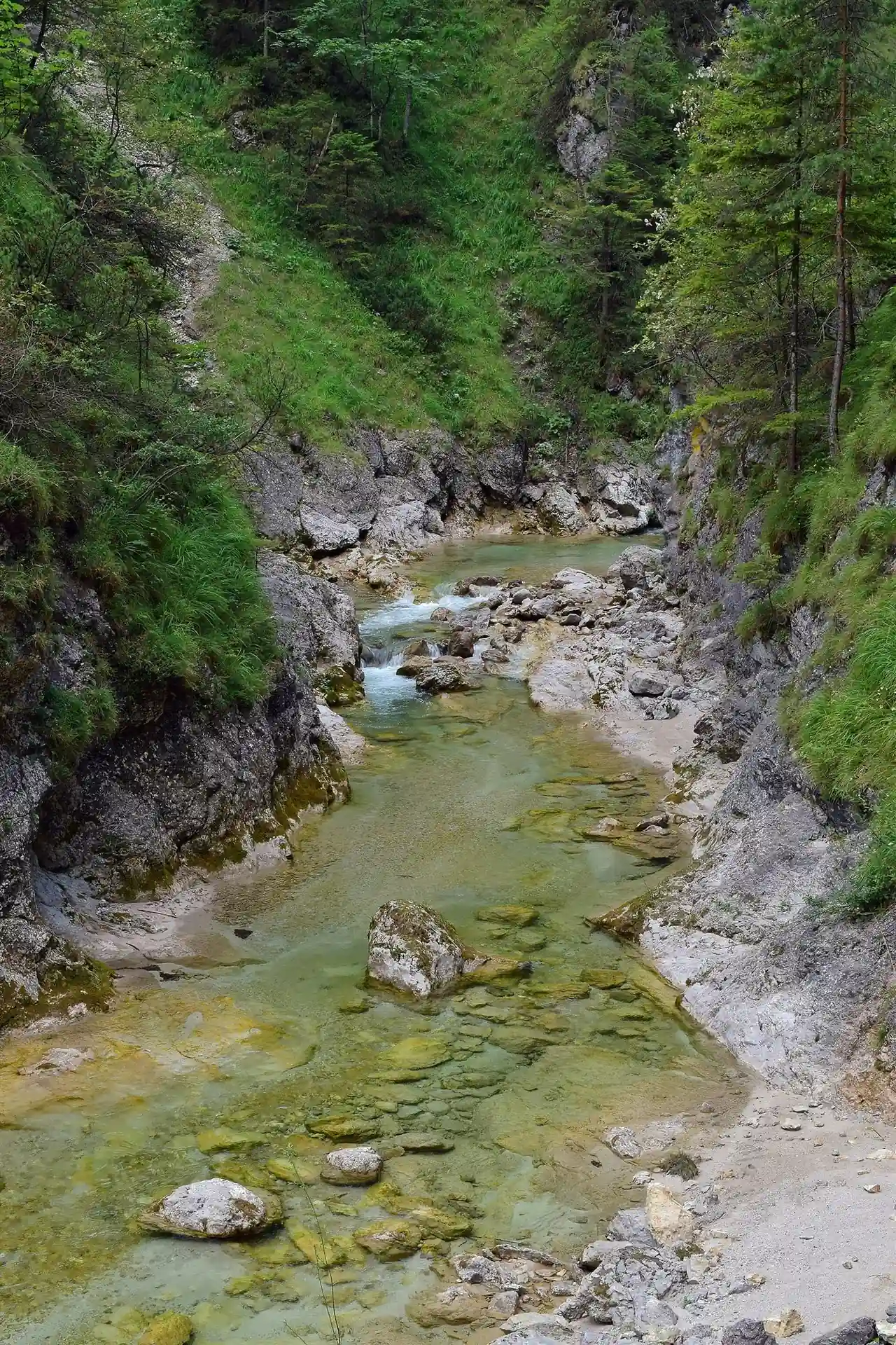 Clear green water flows over pale pebbles in the Ötscherbach between limestone walls with grass and pine trees.